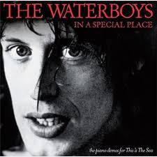 The Waterboys : In a Special Place